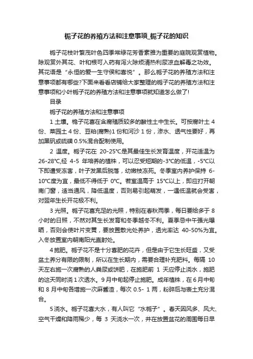 栀子花的养殖方法和注意事项_栀子花的知识