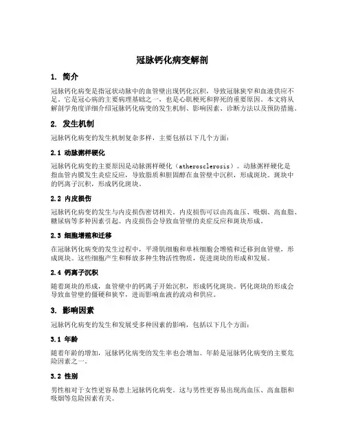 冠脉钙化病变解剖