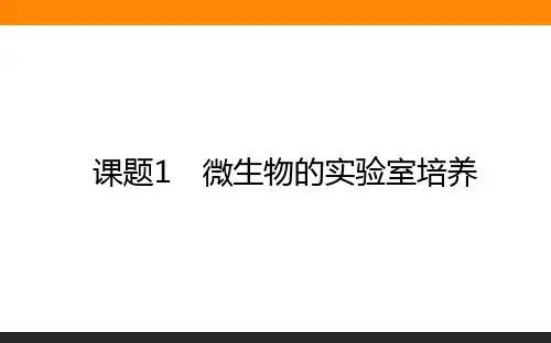 高中生物选修1《生物技术实践》课件2.1微生物的实验室培养