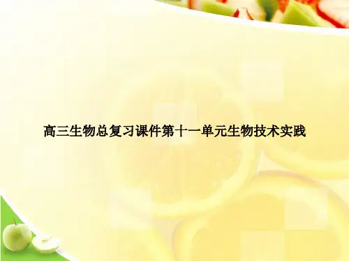 高三生物总复习课件第十一单元生物技术实践ppt文档