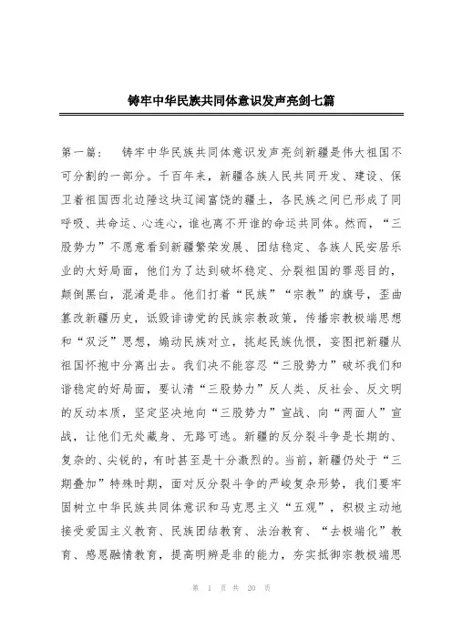 铸牢中华民族共同体意识发声亮剑七篇