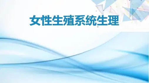 女性生殖系统生理特点