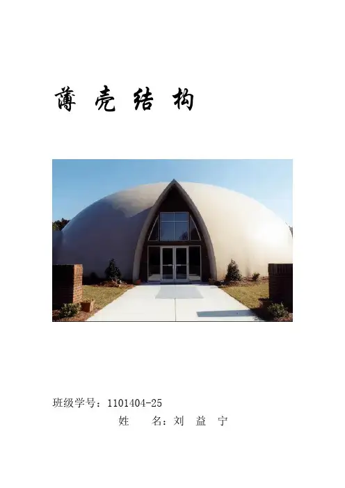 薄壳结构调研讲解