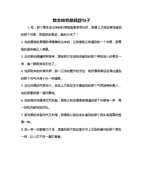 赞美帅男最精辟句子