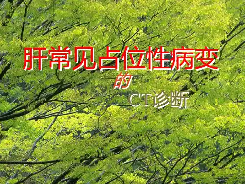肝常见占位性病变的CT诊断 课件