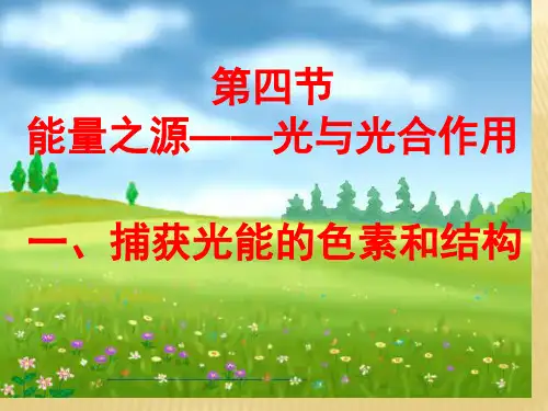 光作用和光合作用
