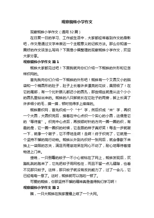 观察蜘蛛小学作文（通用32篇）