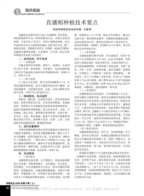 直播稻种植技术要点