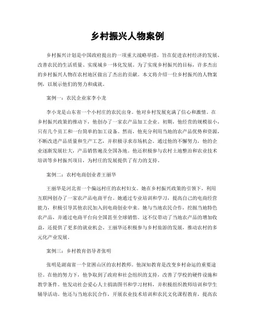 乡村振兴人物案例