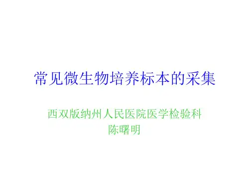 几种常见微生物培养标本的采集