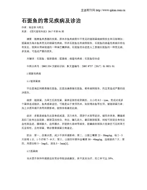 石斑鱼的常见疾病及诊治