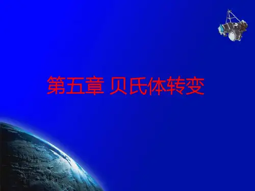 热处理原理及工艺-第五章