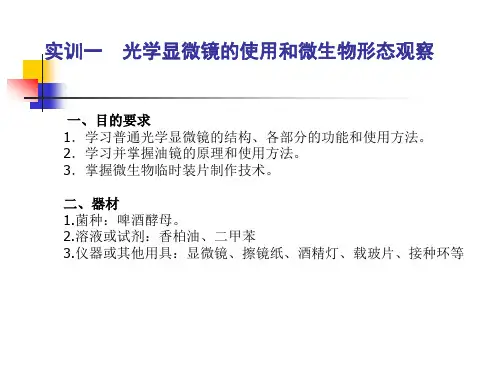 光学显微镜的使用和微生物形态观察