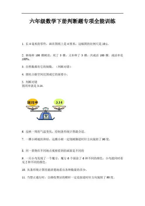 六年级数学下册判断题专项全能训练