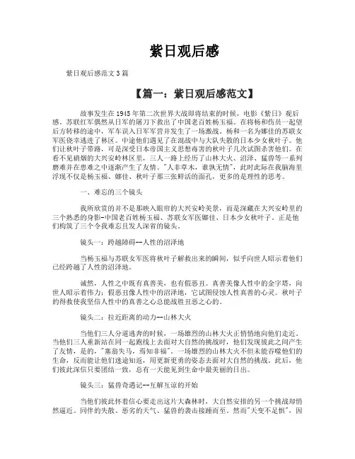 紫日观后感