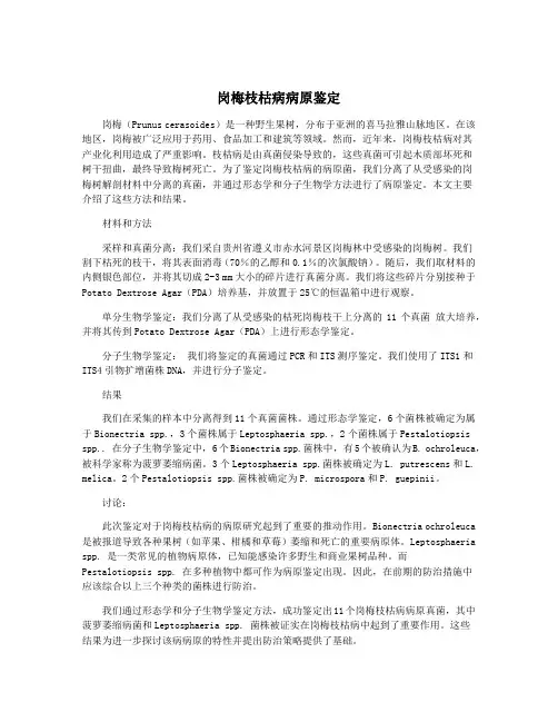 岗梅枝枯病病原鉴定