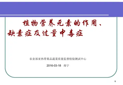植物缺素症状及元素过量中毒症状ppt课件