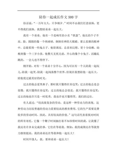 陪你一起成长作文500字
