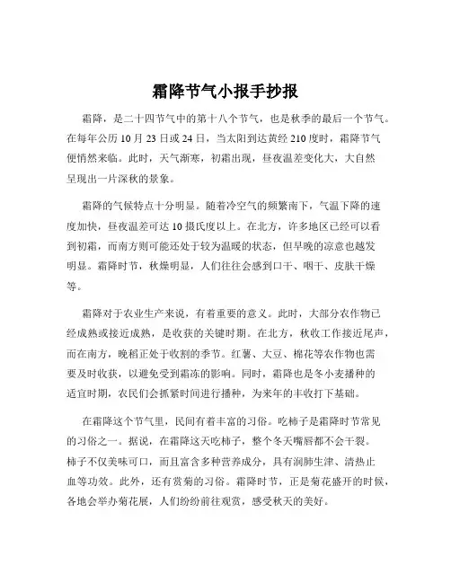 霜降节气小报手抄报
