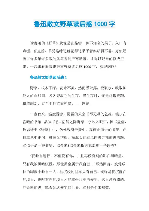 鲁迅散文野草读后感1000字
