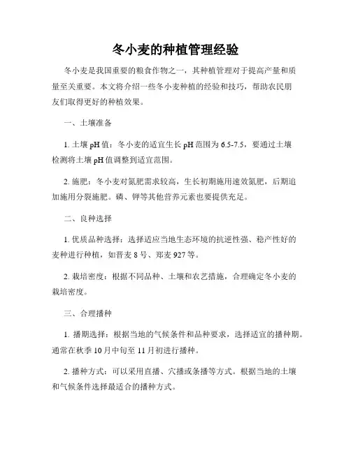 冬小麦的种植管理经验