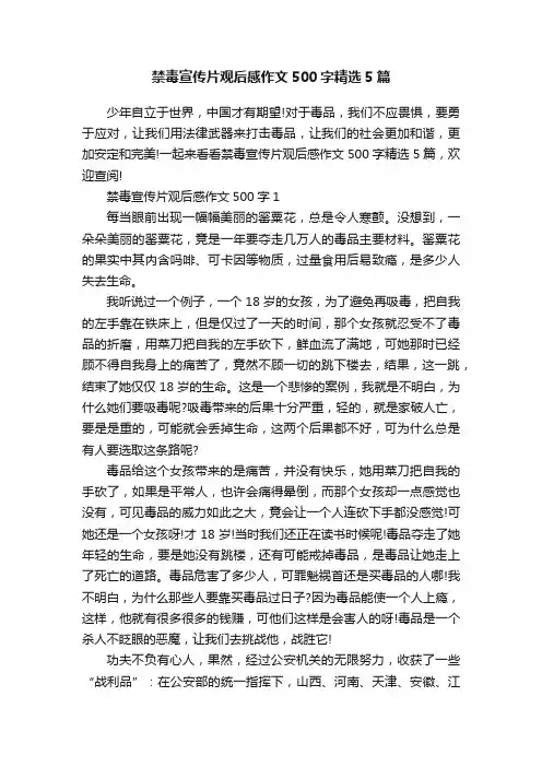 禁毒宣传片观后感作文500字精选5篇