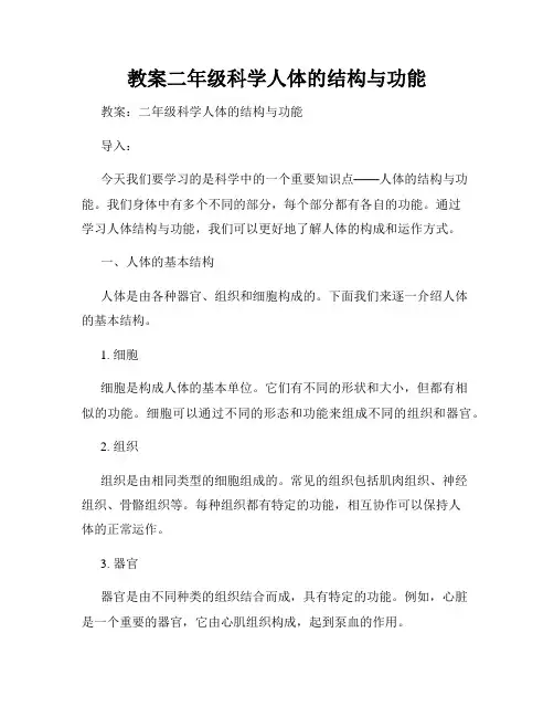 教案二年级科学人体的结构与功能