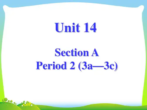 【新】人教版英语九全Unit 14 Section A(3a-3c)(共52张PPT).ppt