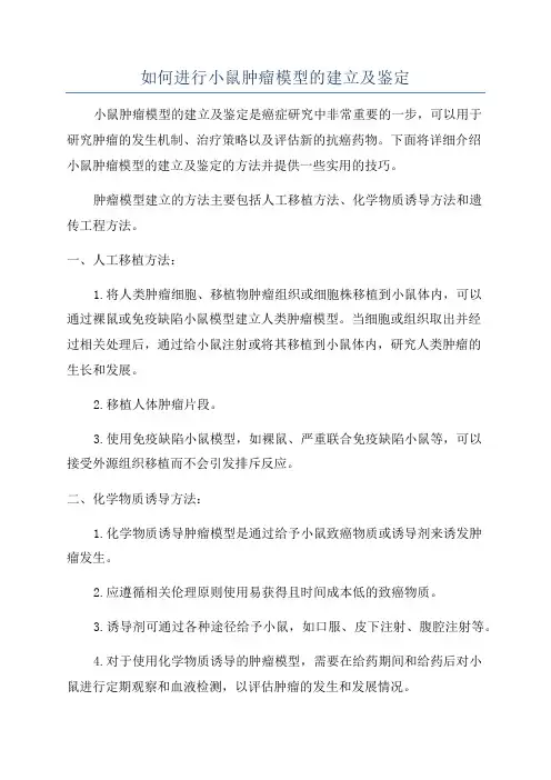 如何进行小鼠肿瘤模型的建立及鉴定