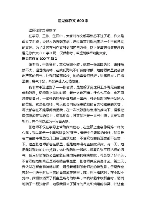 遇见你作文600字
