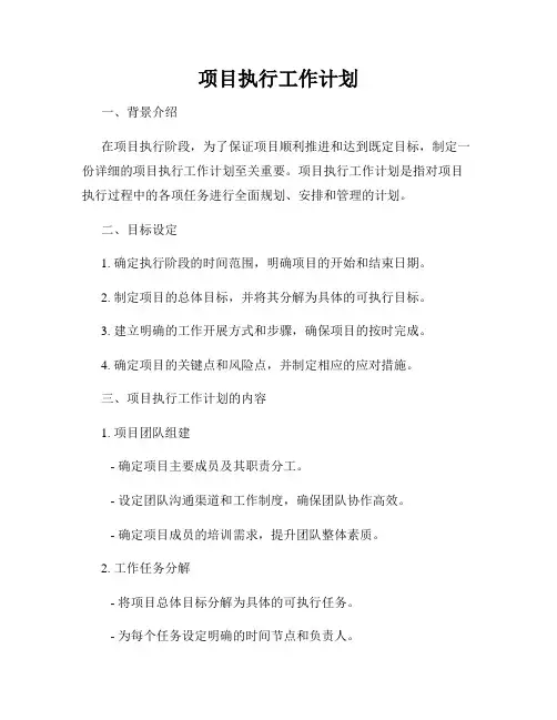 项目执行工作计划