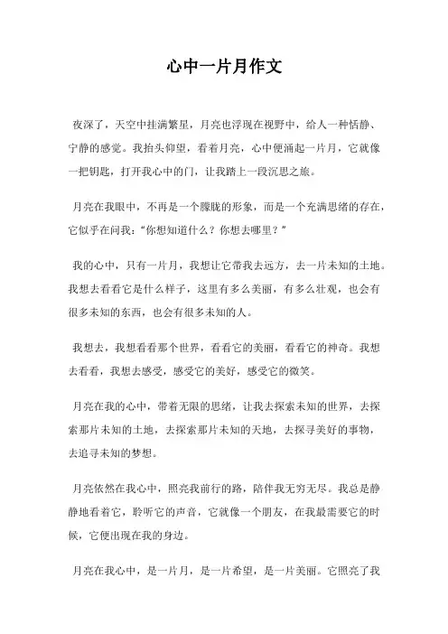 心中一片月作文