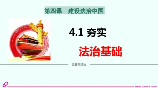 部编版 九年级上 道德与法治  第四课建设法治中国