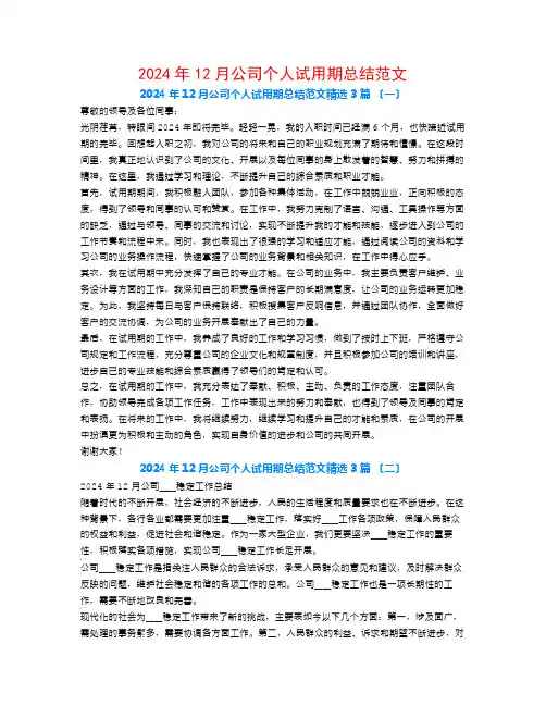 2024年12月公司个人试用期总结范文3篇