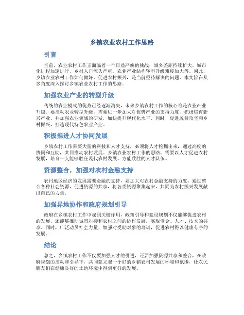 乡镇农业农村工作思路