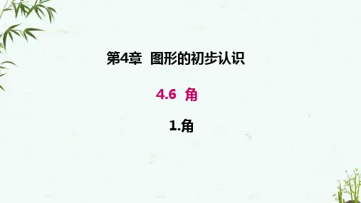 华师大版七年级上册数学 4-6-1 角 