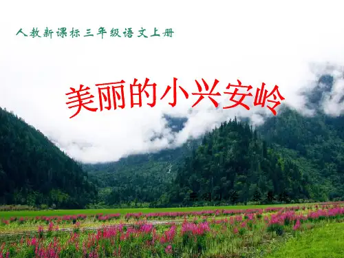 美丽的小兴安岭-课件