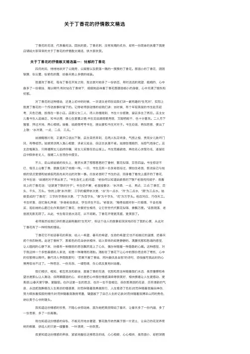 关于丁香花的抒情散文精选