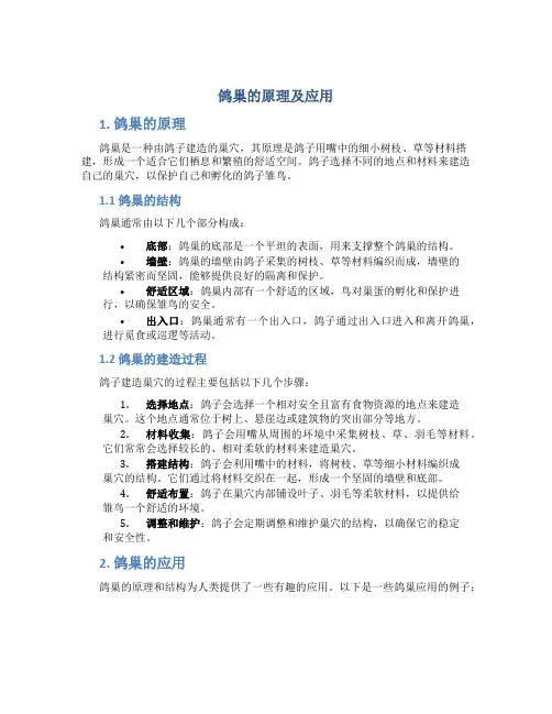 鸽巢的原理及应用