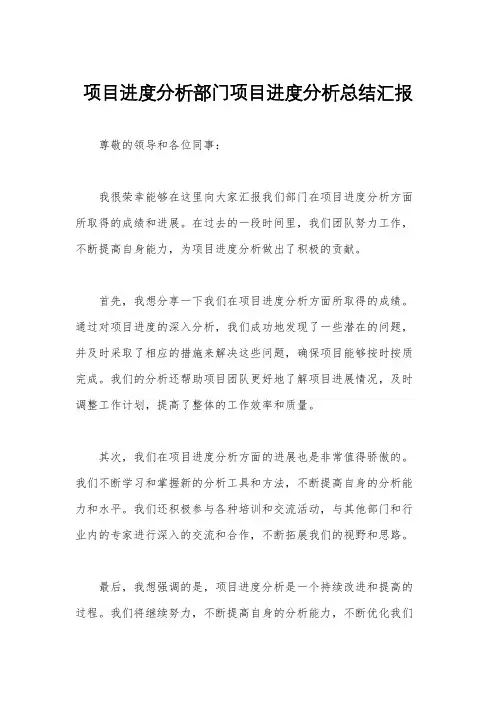 项目进度分析部门项目进度分析总结汇报