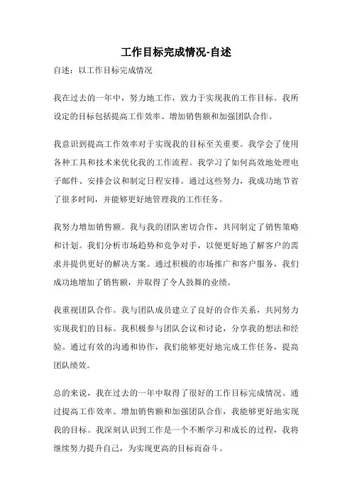 工作目标完成情况-自述