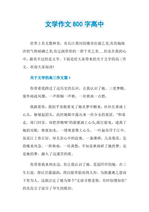 文学作文800字高中