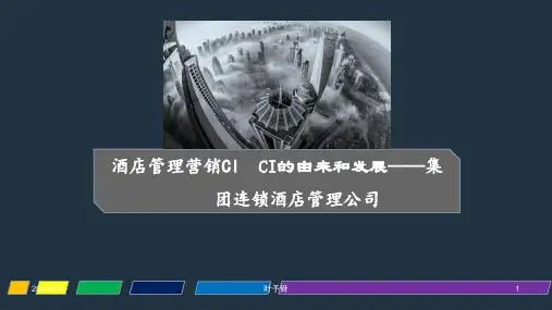 酒店管理营销CI  CI的由来和发展——集团连锁酒店管理公司2032(叶予舜)