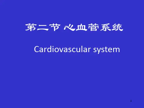 《心血管系统》PPT课件【18页】