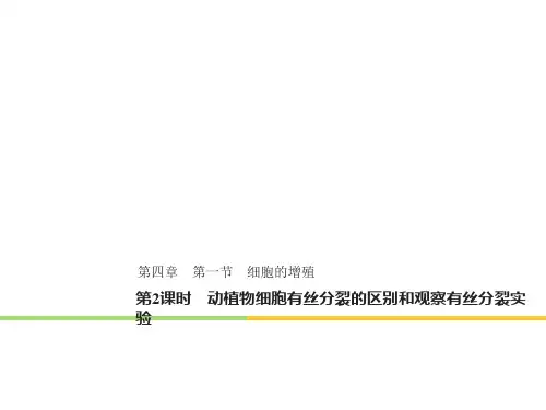 动植物细胞有丝分裂的区别和观察有丝分裂实验课件-浙科版高中生物必修1