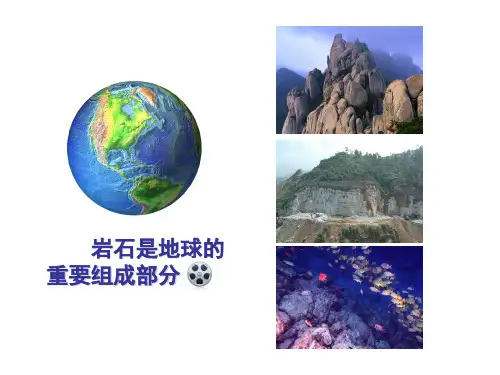 四年级下册科学课件-4.1各种各样的岩石_教科版 (共19张PPT)