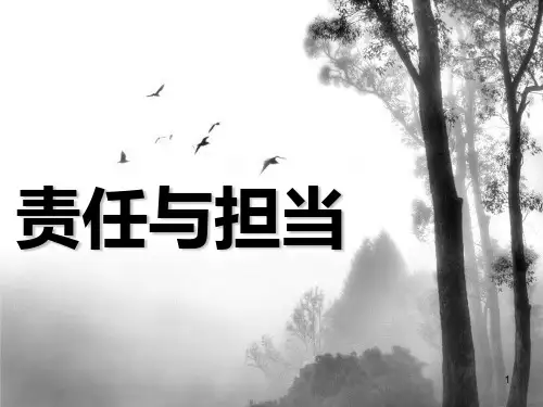责任与担当ppt课件