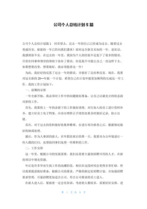 公司个人总结计划5篇