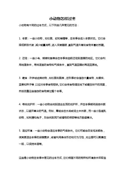 小动物怎样过冬