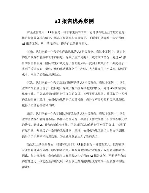 a3报告优秀案例